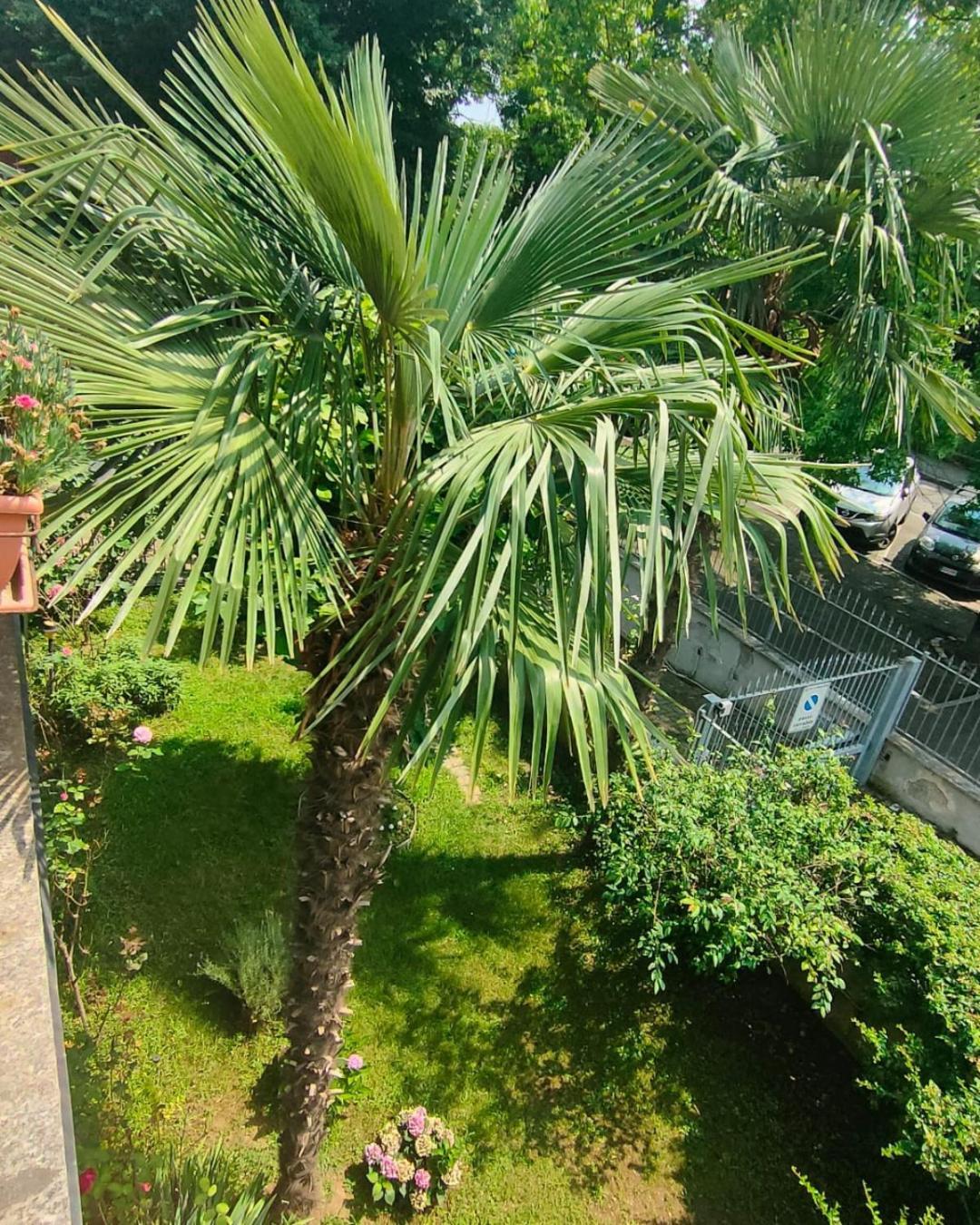 Apartmán La Magnolia Venaria Reale Exteriér fotografie